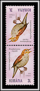 Nightingale (Luscinia megarhynchos)