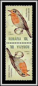 European Robin (Erithacus rubecula)