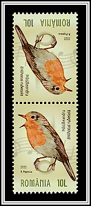European Robin (Erithacus rubecula)
