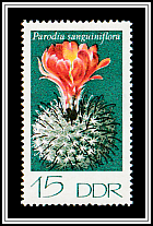 Parodia sanguiniflora
