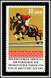 Warmblood