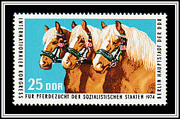 Haflinger