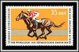 Thoroughbred