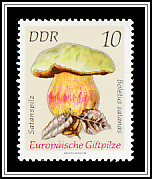 Satan's Bolete