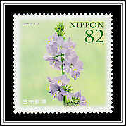 Hanashinobu (Polemonium Kiushianum)