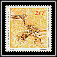 Pterodactylus kochi