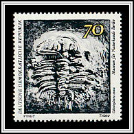 Trilobite (Odontopleura ovata)