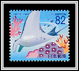 Giant Manta Ray (Manta birostris)