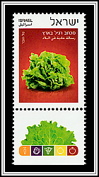 Lettuce