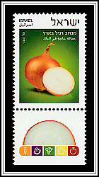 Onion