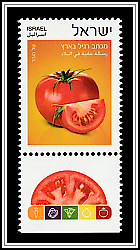 Tomato
