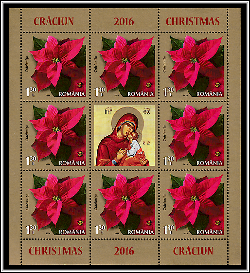 Poinsettia (Euphorbia pulcherrima)