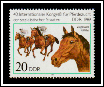 Thoroughbred