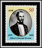 A. E. Brehm