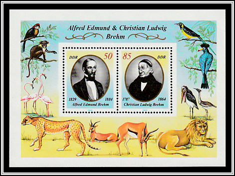 Brehms and Animals