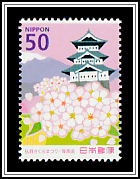 Yoshino Cherry Tree and Hirosaki Castle Tower