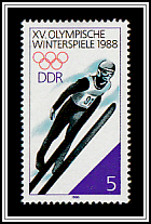 Ski Jumping