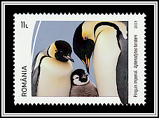 Emperor Penguin (Aptenodytes forsteri)