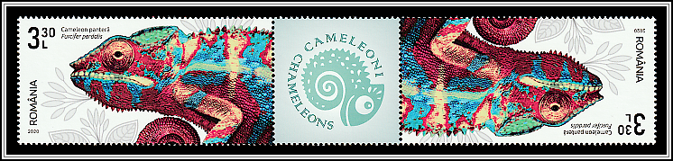 Panther Chameleon (Furcifer pardalis) - Gutter Pair Type II
