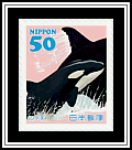 Killer Whale
(Orcinus orca)