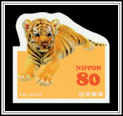 Siberian Tiger (Panthera tigris altaica)