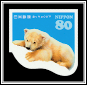 Polar Bear (Ursus maritimus)