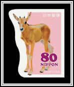 Scimitar Oryx (Oryx dammah)