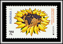 Peace Doves in the Shape of a Sunflower