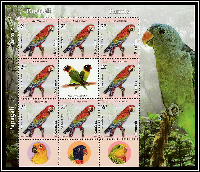 Green-Winged Macaw (Ara chloropterus) - Mini-sheet Type II