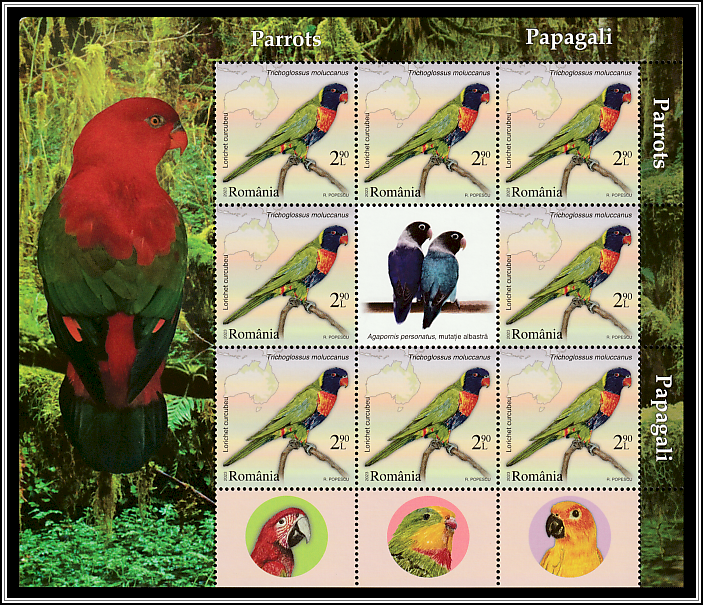 Multicolored Lorikeet (Trichoglossus moluccanus) - Mini-sheet Type I