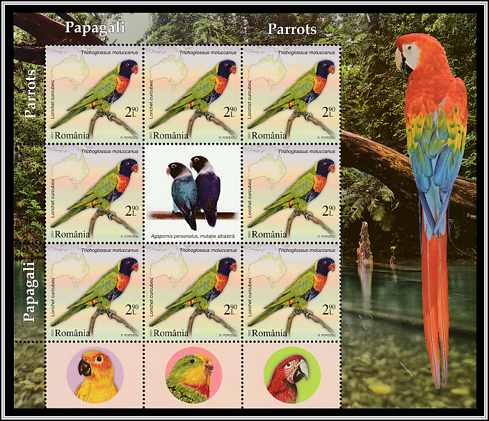 Multicolored Lorikeet (Trichoglossus moluccanus) - Mini-sheet Type II