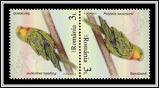 Superb Parrot (Polytelis swainsonii) Tête-bêche Pair Type I