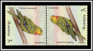 Superb Parrot (Polytelis swainsonii) Tête-bêche Pair Type II