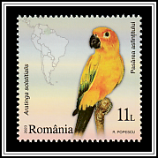 Sunset Bird (Aratinga solstitialis)