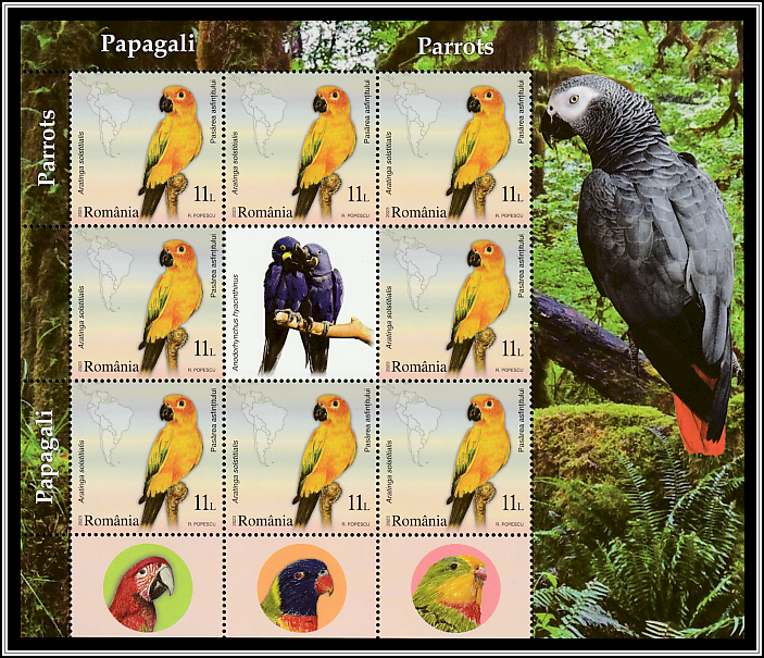 Sunset Bird (Aratinga solstitialis)- Mini-sheet Type II