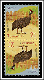 Tête-bêche Type I
