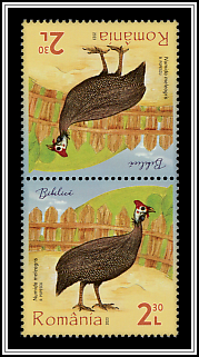 Tête-bêche Type II
