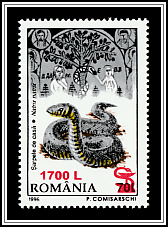 European Grass Snake (Natrix natrix)