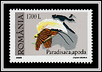 Greater Bird-of-paradise (Paradisaea apoda)