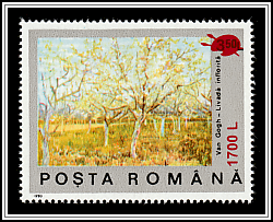 Blossoming Fruit Trees