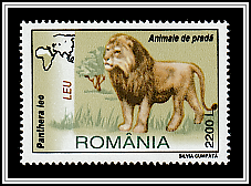 Lion (Panthera Leo)