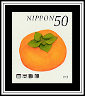 Persimmon (Diospyros kaki)