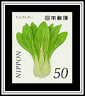 Bok Choy (Brassica rapa)