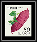 Sweet Potato (Ipomoea batatas)