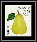 Pear (Pyrus communis)