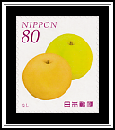 Japanese Pears (Pyrus pyrifolia)