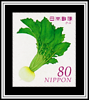 Turnip Greens (Brassica rapa)