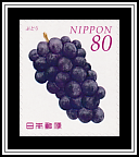 Grapes (Muscadinia rotundifolia)