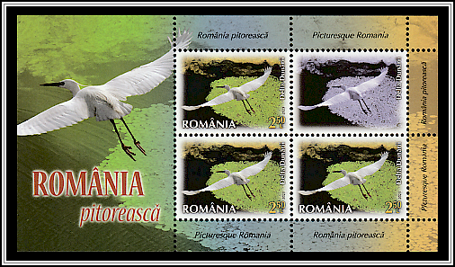 Little Egret (Egretta garzetta) in the Danube Delta