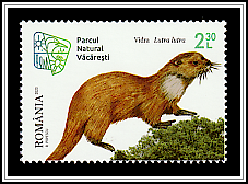 Eurasian Otter (Lutra lutra)